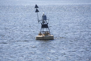 中方蝶泳入水角度更锐利？图解数据分析，中国蝶泳厉害吗